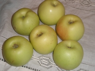 Manzana verde dondella
